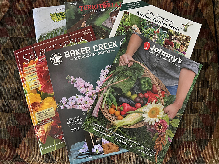 seed selections