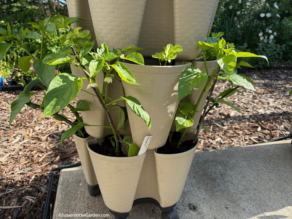 GreenStalk planters