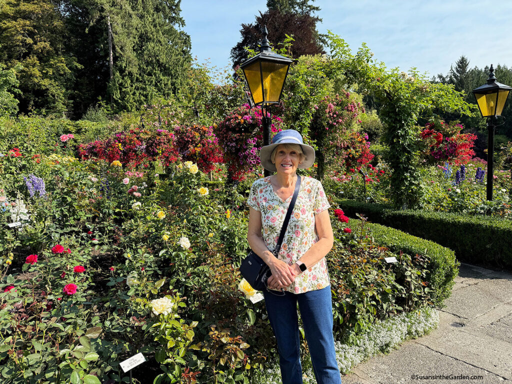 Butchart Gardens, rose garden