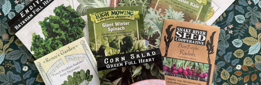 fall vegetable garden, seed packets