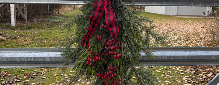 holiday decorations, holiday swag