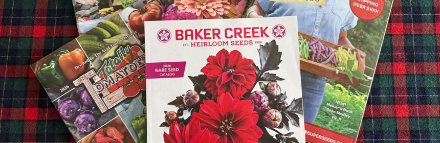 seed summit, seed catalogs