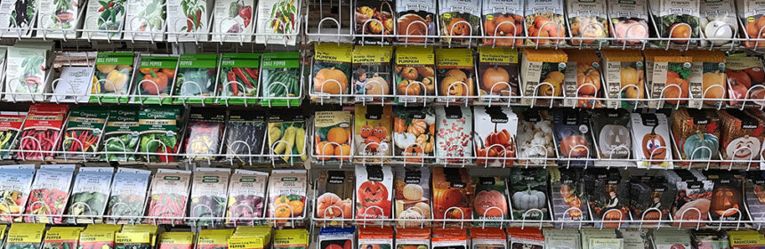 start seeds, seed rack