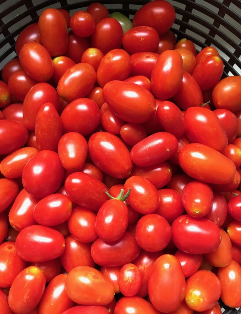 vegetables, tomatoes