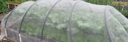 row covers, agricultural insect netting