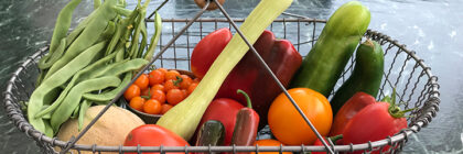 vegetable garden tips, harvest basket