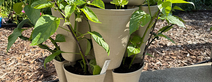 GreenStalk vertical planters