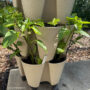GreenStalk vertical planters