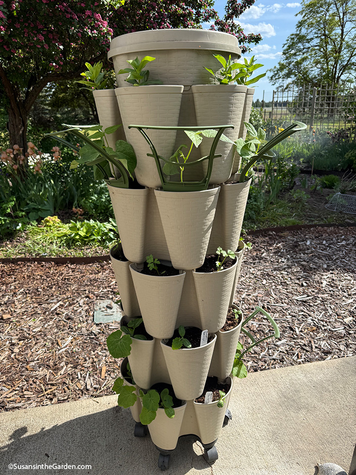 Greenstalk vertical planters