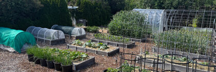 vegetable garden tour