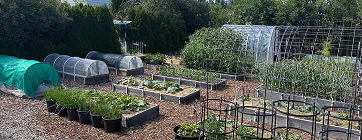 vegetable garden tour