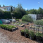 vegetable garden tour