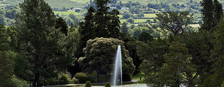 Irish gardens
