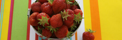 strawberry patch