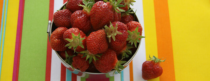strawberry patch