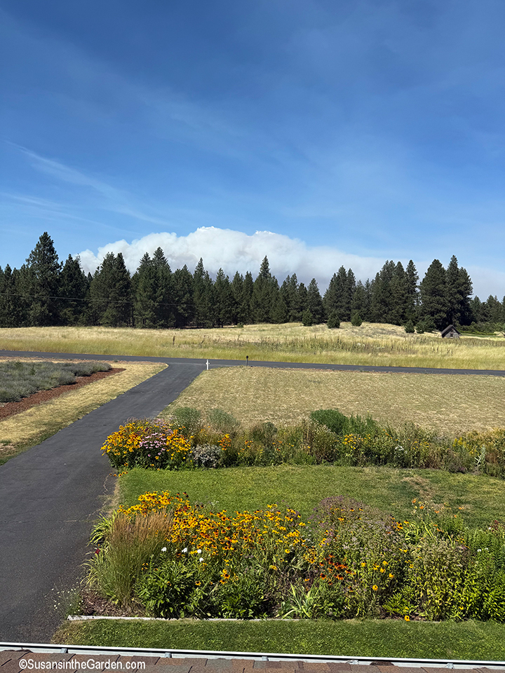 Spokane wildfires