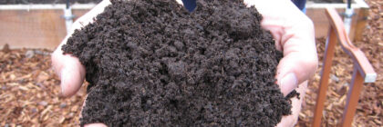 wildfire ash, soil