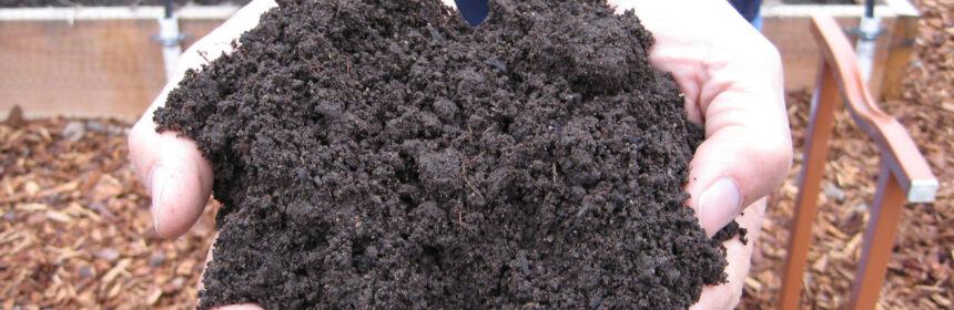 wildfire ash, soil
