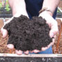 wildfire ash, soil